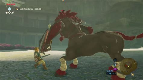 botw coliseum lynel.